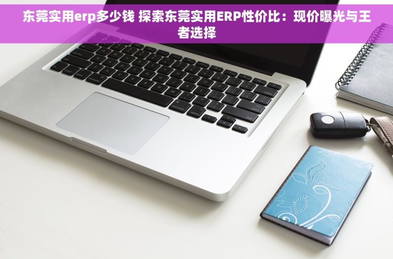 东莞实用erp多少钱 探索东莞实用ERP性价比：现价曝光与王者选择