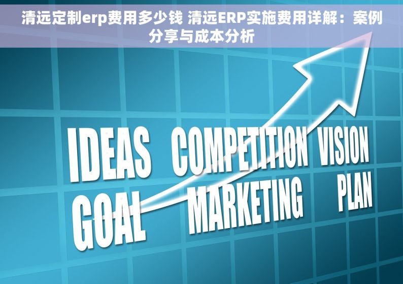 清远定制erp费用多少钱 清远ERP实施费用详解：案例分享与成本分析