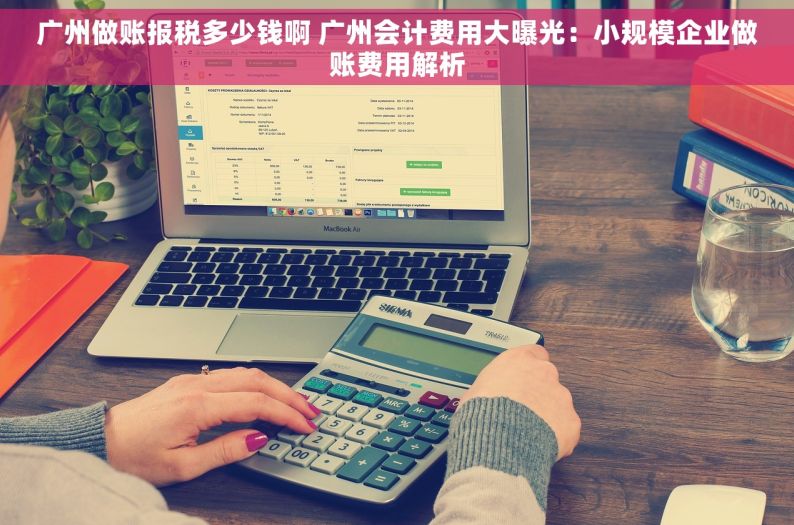 广州做账报税多少钱啊 广州会计费用大曝光：小规模企业做账费用解析