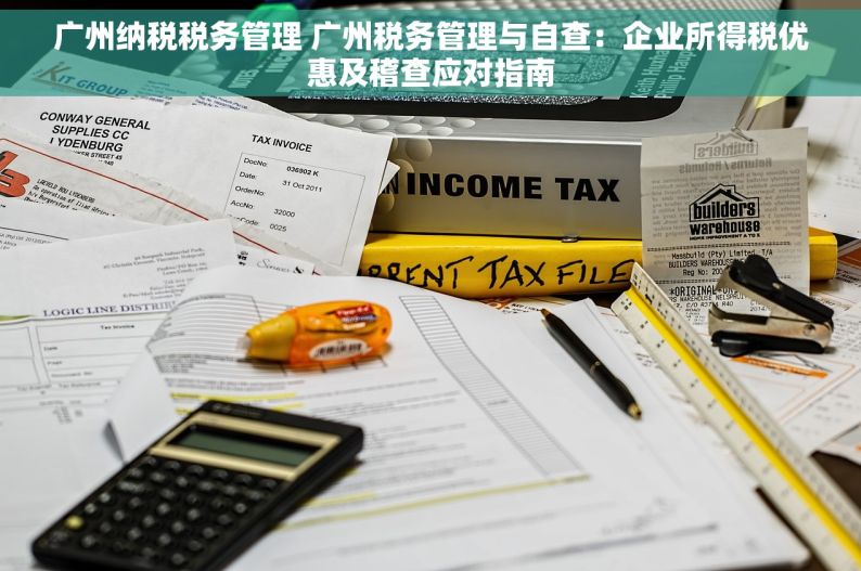 广州纳税税务管理 广州税务管理与自查：企业所得税优惠及稽查应对指南