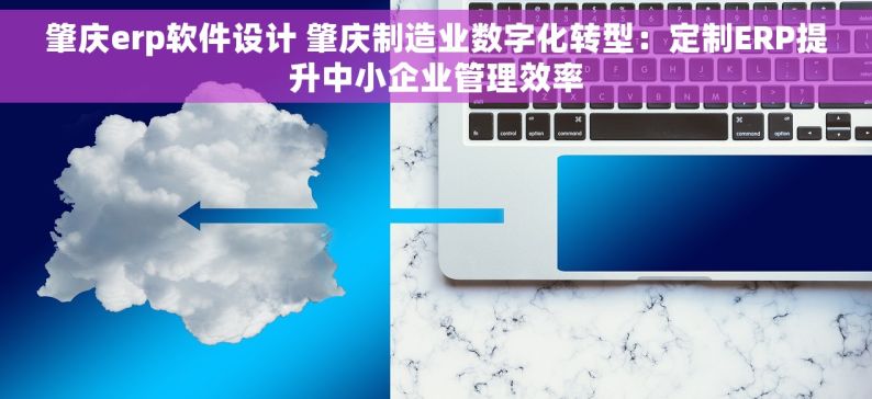肇庆erp软件设计 肇庆制造业数字化转型：定制ERP提升中小企业管理效率