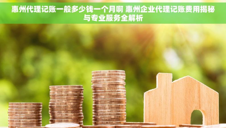 惠州代理记账一般多少钱一个月啊 惠州企业代理记账费用揭秘与专业服务全解析