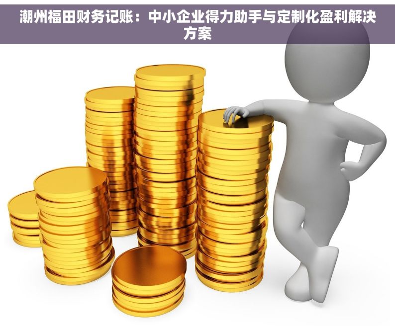 潮州福田财务记账：中小企业得力助手与定制化盈利解决方案