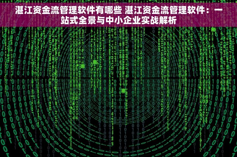 湛江资金流管理软件有哪些 湛江资金流管理软件：一站式全景与中小企业实战解析