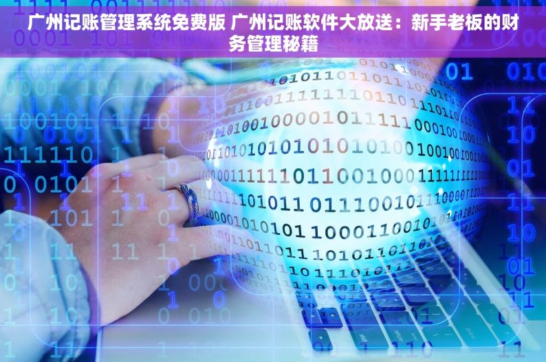 广州记账管理系统免费版 广州记账软件大放送：新手老板的财务管理秘籍