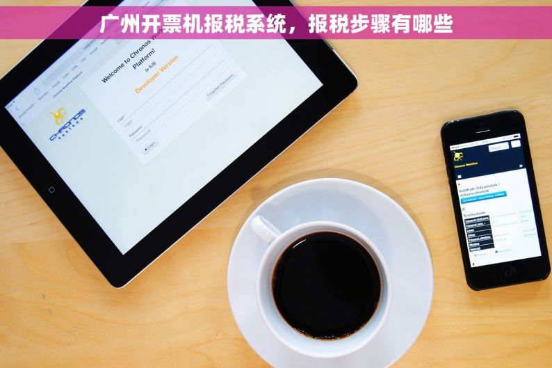 广州开票机报税系统，报税步骤有哪些