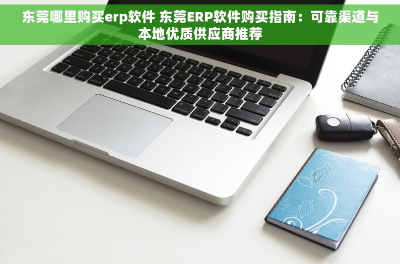 东莞哪里购买erp软件 东莞ERP软件购买指南：可靠渠道与本地优质供应商推荐