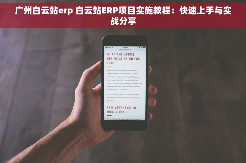 广州白云站erp 白云站ERP项目实施教程：快速上手与实战分享