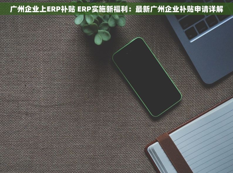 广州企业上ERP补贴 ERP实施新福利：最新广州企业补贴申请详解