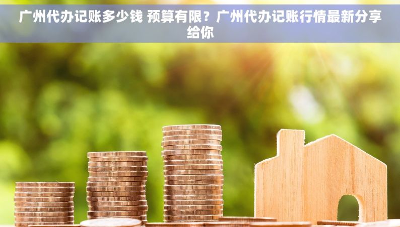 广州代办记账多少钱 预算有限？广州代办记账行情最新分享给你