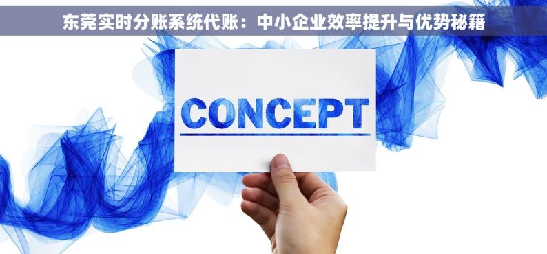 东莞实时分账系统代账：中小企业效率提升与优势秘籍