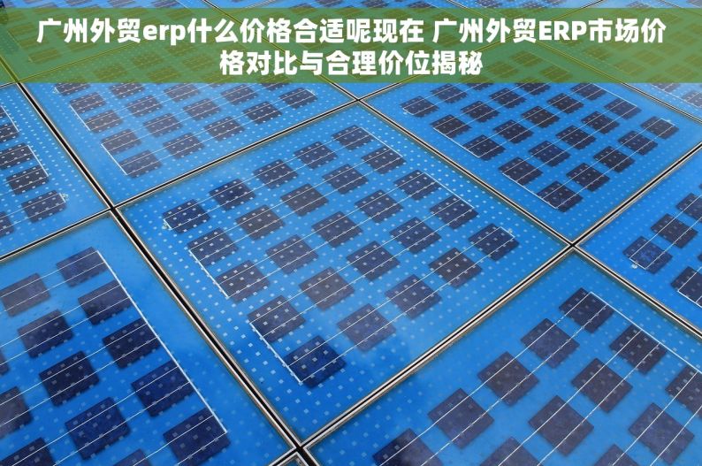 广州外贸erp什么价格合适呢现在 广州外贸ERP市场价格对比与合理价位揭秘