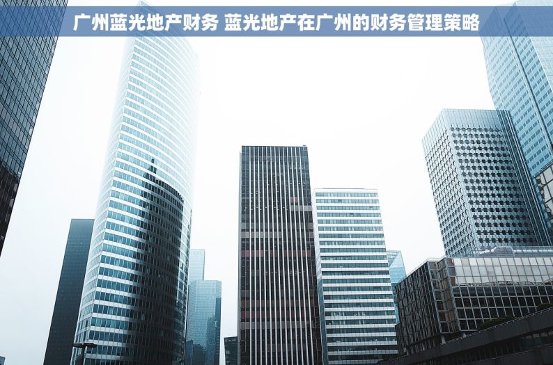 广州蓝光地产财务 蓝光地产在广州的财务管理策略