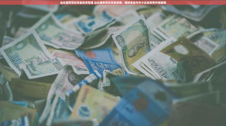 汕头国贸世纪资金投资管理 汕头国贸世纪资金管理：理财实战与中小企业财务升级秘籍
