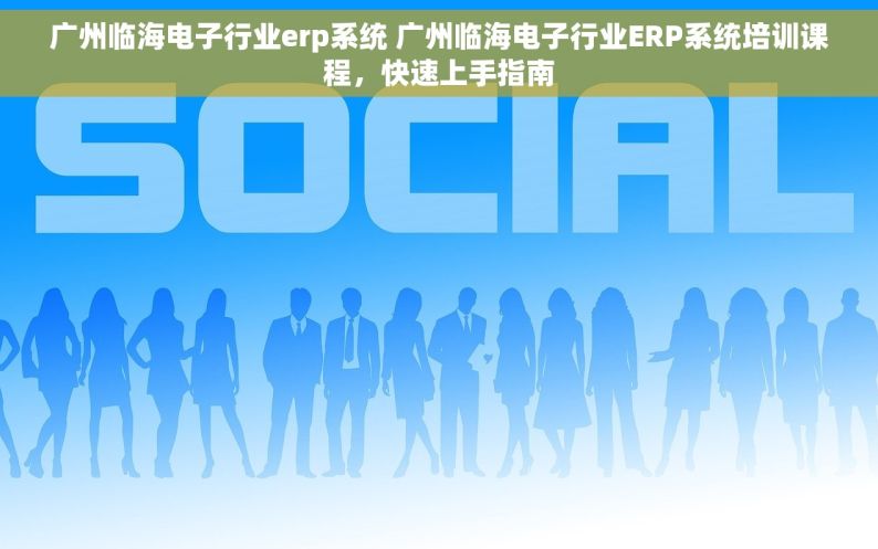广州临海电子行业erp系统 广州临海电子行业ERP系统培训课程，快速上手指南
