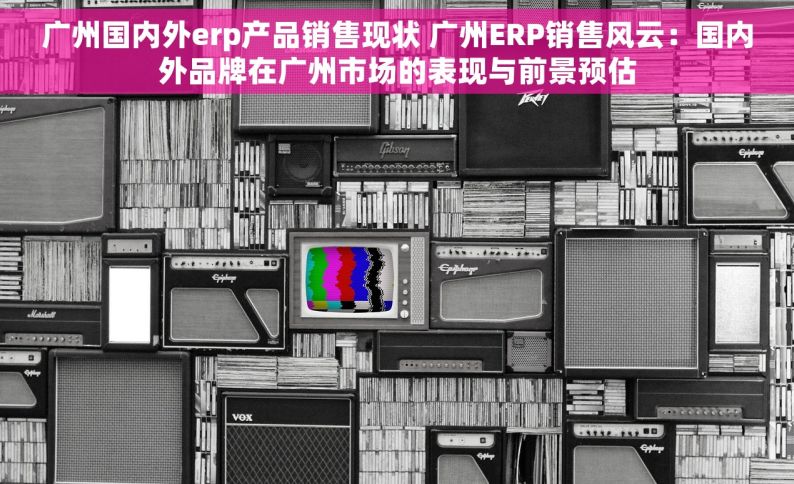 广州国内外erp产品销售现状 广州ERP销售风云：国内外品牌在广州市场的表现与前景预估