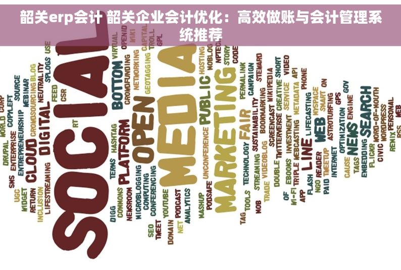 韶关erp会计 韶关企业会计优化：高效做账与会计管理系统推荐