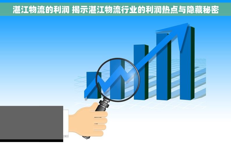 湛江物流的利润 揭示湛江物流行业的利润热点与隐藏秘密