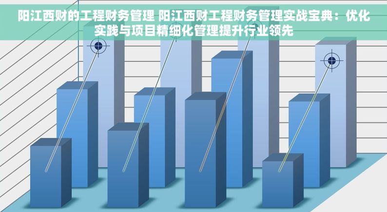 阳江西财的工程财务管理 阳江西财工程财务管理实战宝典：优化实践与项目精细化管理提升行业领先