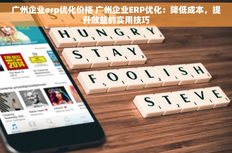 广州企业erp优化价格 广州企业ERP优化：降低成本，提升效益的实用技巧