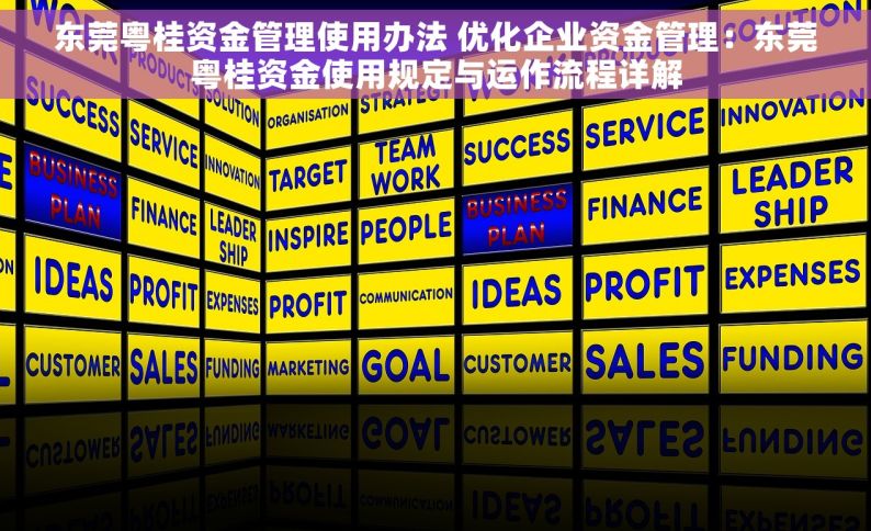 东莞粤桂资金管理使用办法 优化企业资金管理：东莞粤桂资金使用规定与运作流程详解