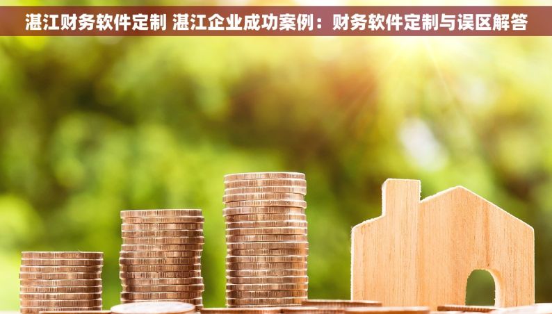 湛江财务软件定制 湛江企业成功案例：财务软件定制与误区解答