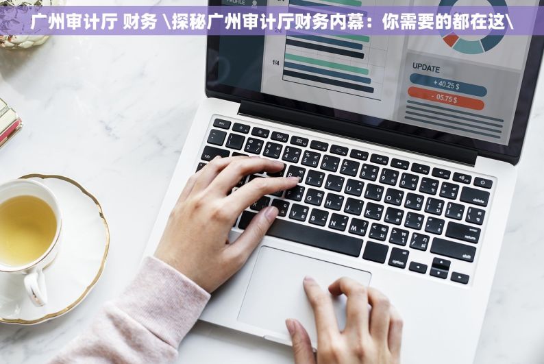 广州审计厅 财务 \探秘广州审计厅财务内幕：你需要的都在这\