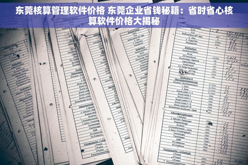东莞核算管理软件价格 东莞企业省钱秘籍：省时省心核算软件价格大揭秘