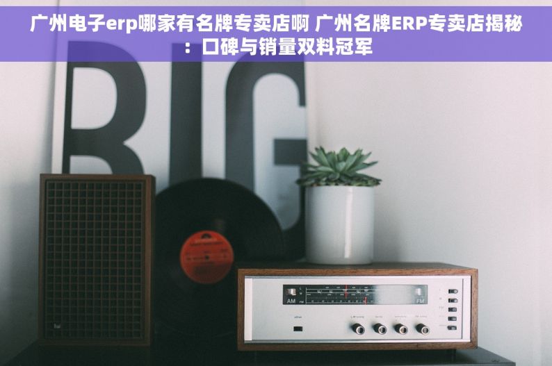 广州电子erp哪家有名牌专卖店啊 广州名牌ERP专卖店揭秘：口碑与销量双料冠军