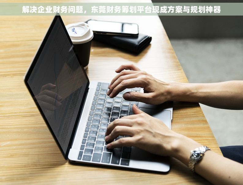 解决企业财务问题，东莞财务筹划平台现成方案与规划神器