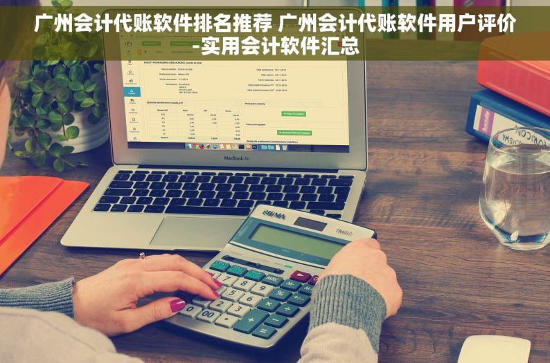 广州会计代账软件排名推荐 广州会计代账软件用户评价-实用会计软件汇总