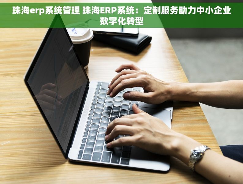 珠海erp系统管理 珠海ERP系统：定制服务助力中小企业数字化转型