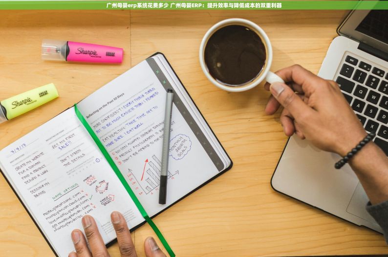 广州母婴erp系统花费多少 广州母婴ERP：提升效率与降低成本的双重利器