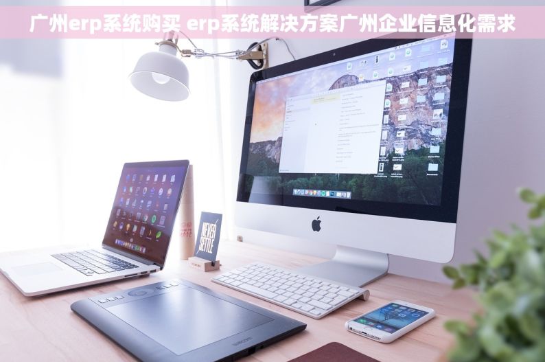 广州erp系统购买 erp系统解决方案广州企业信息化需求