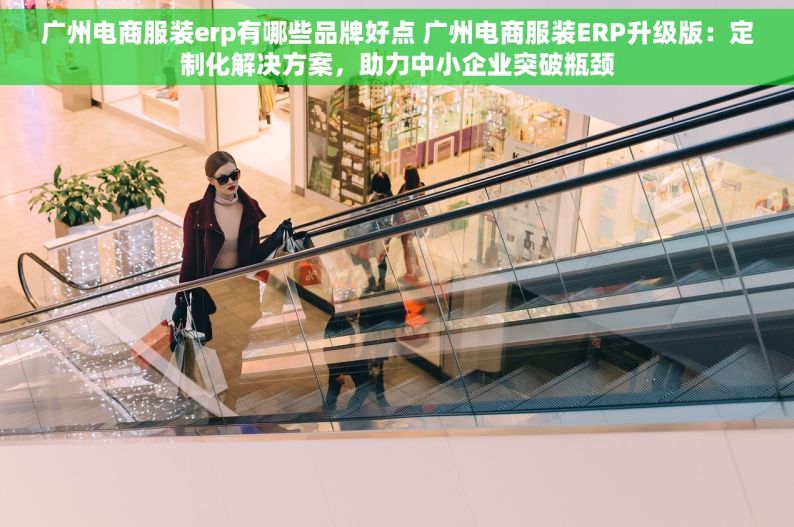 广州电商服装erp有哪些品牌好点 广州电商服装ERP升级版：定制化解决方案，助力中小企业突破瓶颈