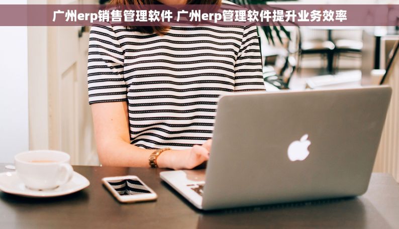 广州erp销售管理软件 广州erp管理软件提升业务效率