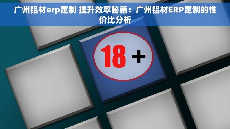 广州铝材erp定制 提升效率秘籍：广州铝材ERP定制的性价比分析