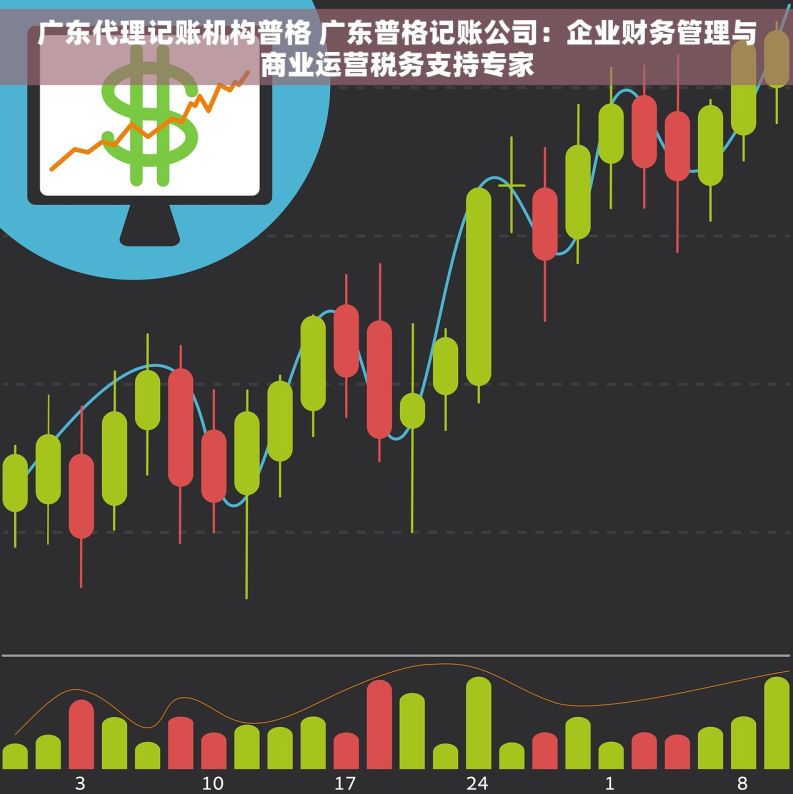 广东代理记账机构普格 广东普格记账公司：企业财务管理与商业运营税务支持专家