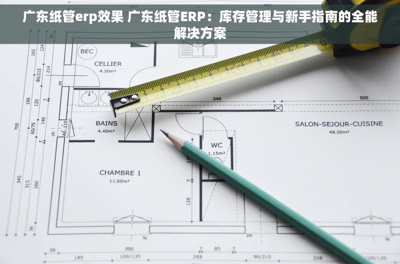 广东纸管erp效果 广东纸管ERP：库存管理与新手指南的全能解决方案
