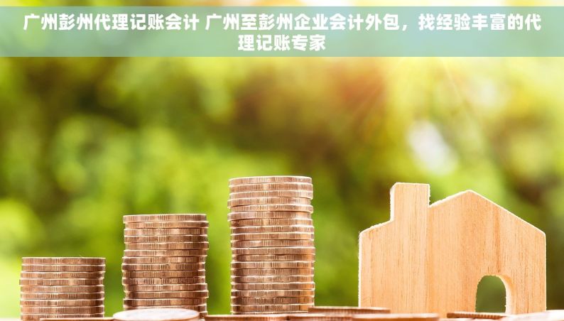 广州彭州代理记账会计 广州至彭州企业会计外包，找经验丰富的代理记账专家