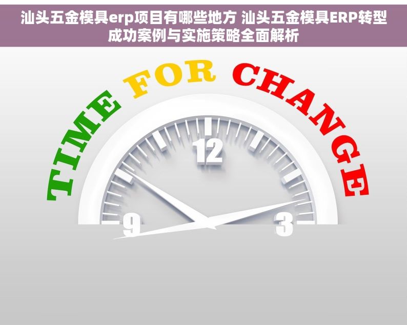 汕头五金模具erp项目有哪些地方 汕头五金模具ERP转型成功案例与实施策略全面解析