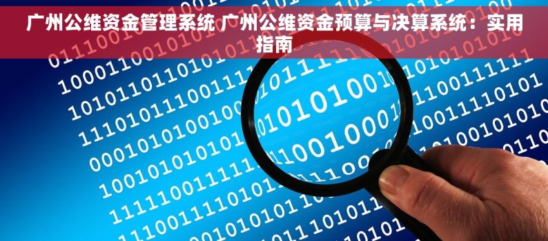 广州公维资金管理系统 广州公维资金预算与决算系统：实用指南