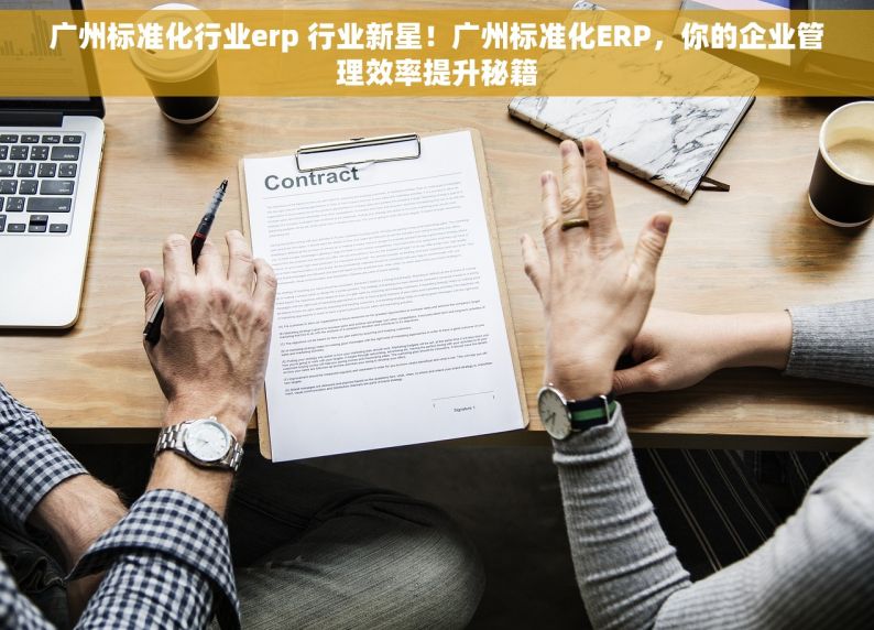 广州标准化行业erp 行业新星！广州标准化ERP，你的企业管理效率提升秘籍