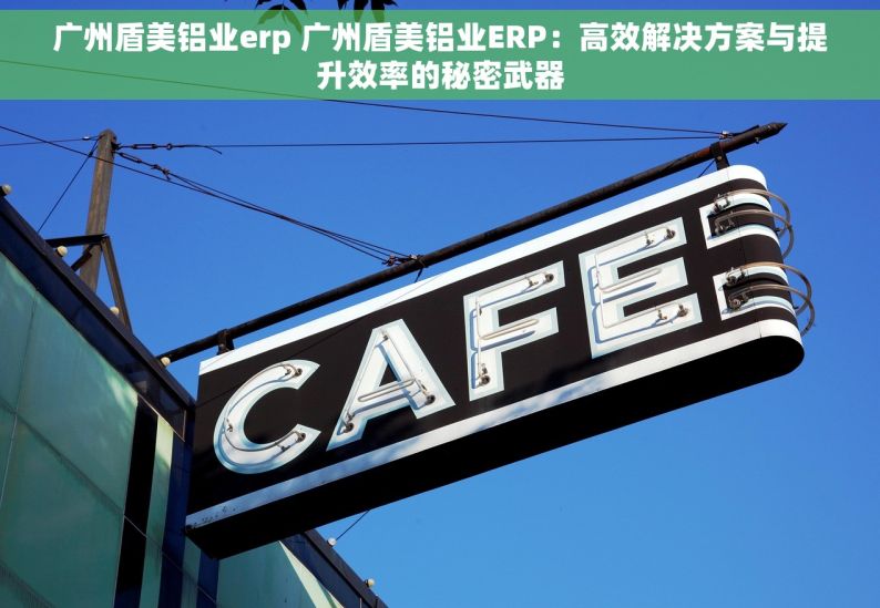广州盾美铝业erp 广州盾美铝业ERP：高效解决方案与提升效率的秘密武器