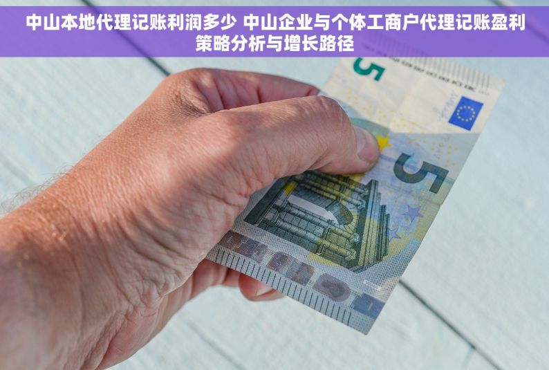 中山本地代理记账利润多少 中山企业与个体工商户代理记账盈利策略分析与增长路径