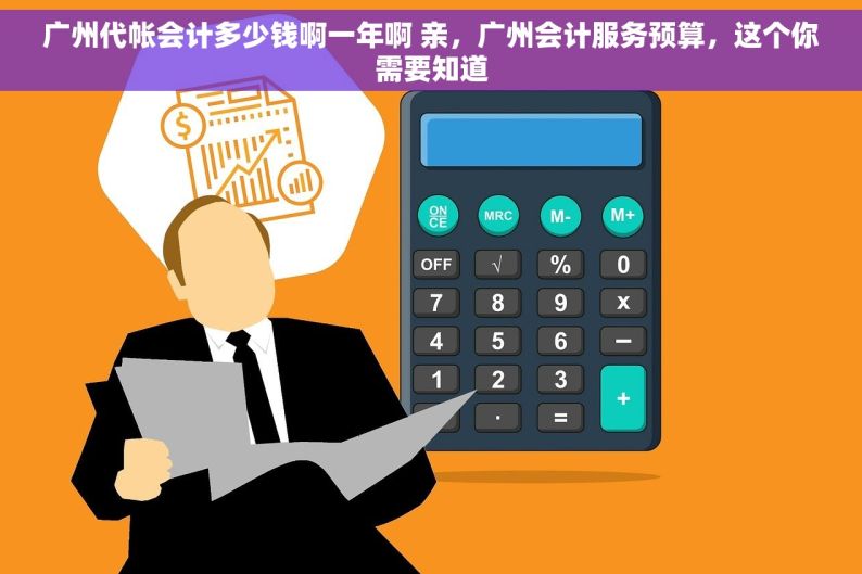 广州代帐会计多少钱啊一年啊 亲，广州会计服务预算，这个你需要知道