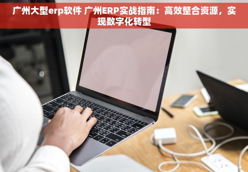 广州大型erp软件 广州ERP实战指南：高效整合资源，实现数字化转型