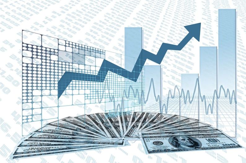 肇庆青桐资金管理：从零开始走向企业财务稳健绿洲的案例分享