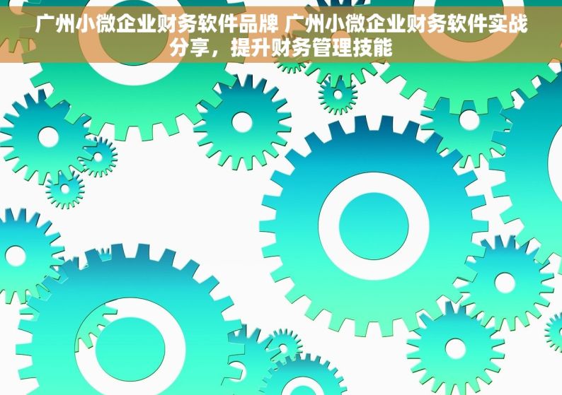 广州小微企业财务软件品牌 广州小微企业财务软件实战分享，提升财务管理技能