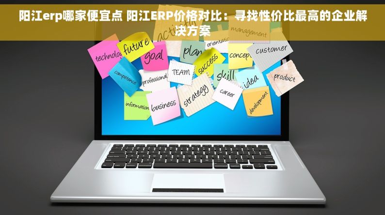 阳江erp哪家便宜点 阳江ERP价格对比：寻找性价比最高的企业解决方案